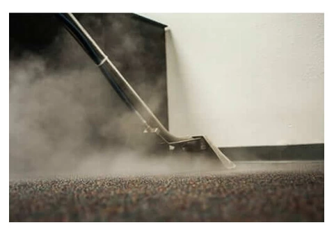 Professional Carpet Cleaning Sydney