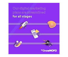 Social Media Marketing Management Tools for Small Businesses