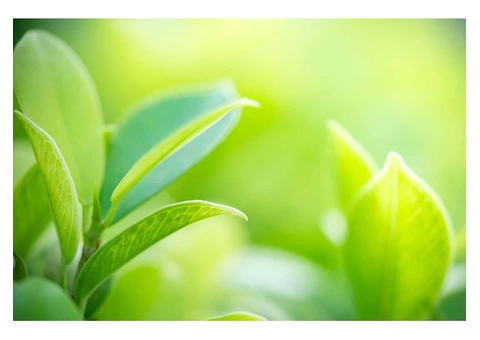 Funerals Hunter Valley