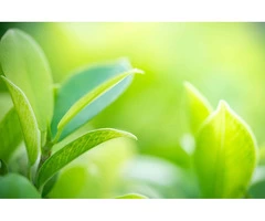 Funerals Hunter Valley