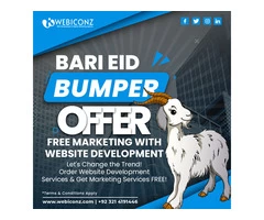 Order Web Development Service & Get Free Marketing