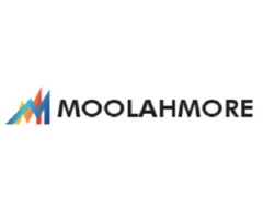 MoolahMore - Financial and Accounting Software Application