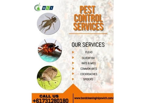 Professional cleaning company in Ipswich - 1/5