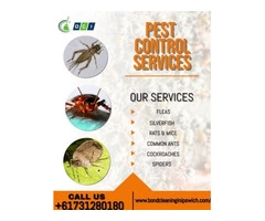 Professional cleaning company in Ipswich