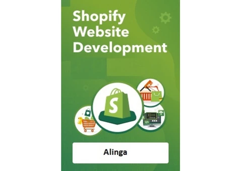 Shopify Website Developer for supporting your business goals