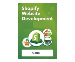 Shopify Website Developer for supporting your business goals