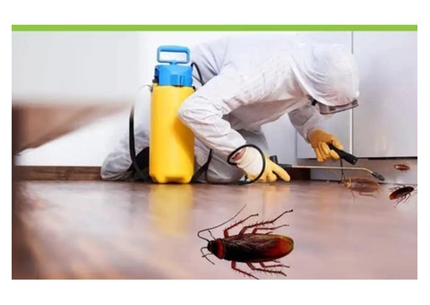 Commercial Pest Control - 3/4