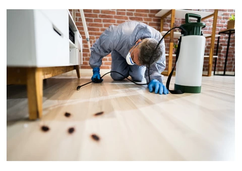 General Pest Control - 7/7