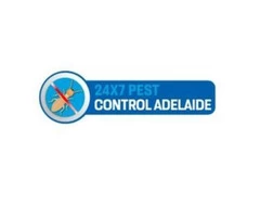 Best Pest Control Service Adelaide