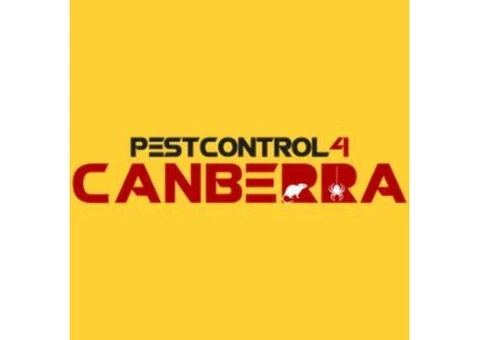 Pre-Purchase Timber Inspections Canberra - 1/4