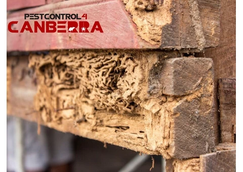 Pre-Purchase Timber Inspections Canberra - 3/4