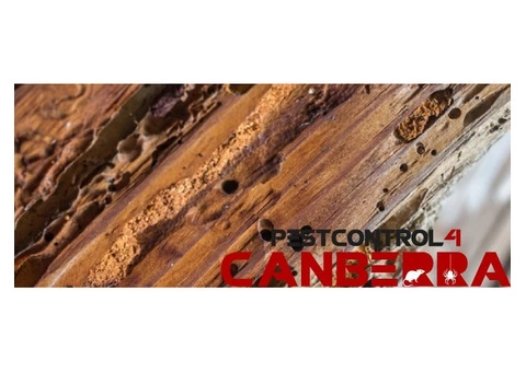 Pre-Purchase Timber Inspections Canberra - 4/4
