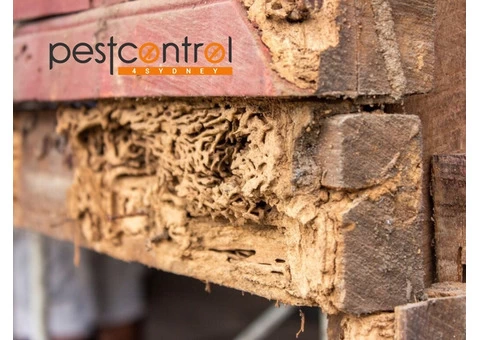 Pre-Purchase Timber Inspection Sydney - 2/4