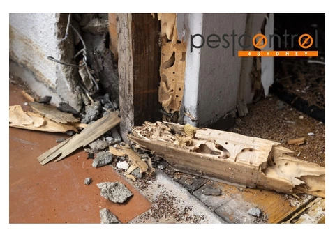 Pre-Purchase Timber Inspection Sydney - 3/4