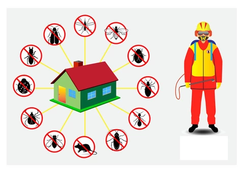 Pest Control Castle Hill - 3/3