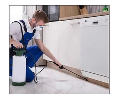 Pest Control Baulkham Hills