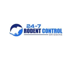 Rodent Pest Control Brisbane
