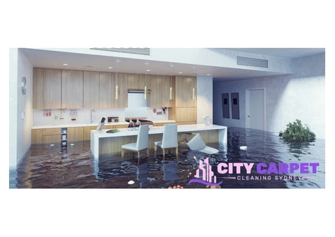 Flood Damage Restoration Sydney - 4/7
