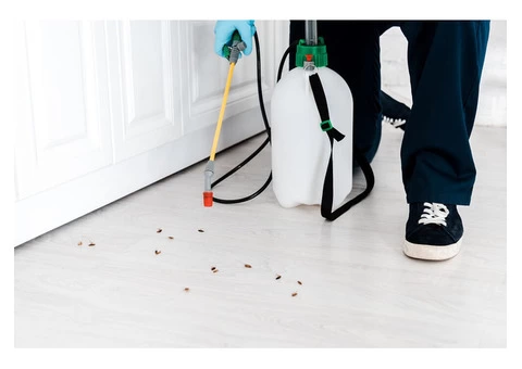 Local Pest Control Kellyville - 1/4