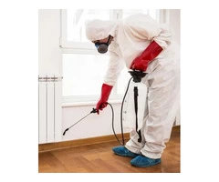 Pest Control services in sydney
