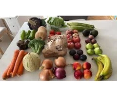 Pasture Raised Eggs in Perth