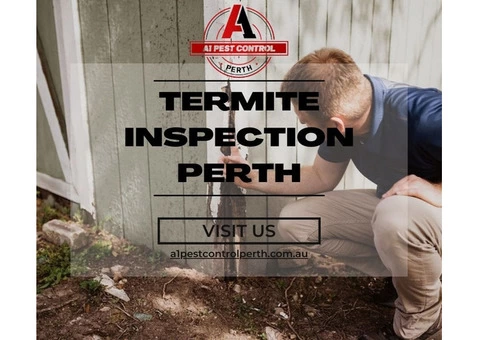 Take Help From Professionals And Remove Termite Inspection In Perth