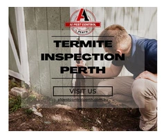 Take Help From Professionals And Remove Termite Inspection In Perth