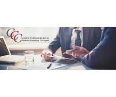 Competitive Financial Planner Preparation Services in RYDE - Cantoraccounting