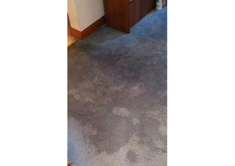 Flood Damage Restoration Brisbane - 3/5