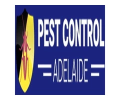 Cockroach Control Adelaide