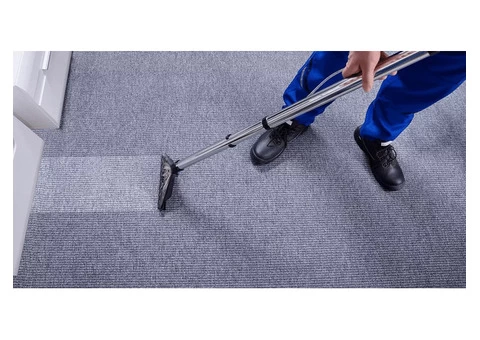 Professional Rug Cleaning Services in Darley