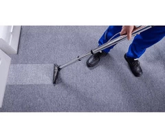 Professional Rug Cleaning Services in Darley