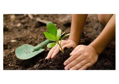 Get Professional Advice with Planting Selection Melbourne