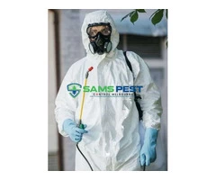 Pest Control Melbourne