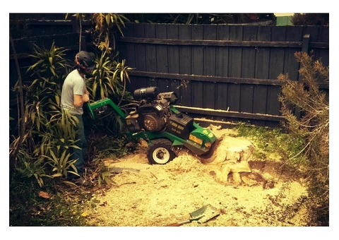 Tree and Stump Removal Melbourne | Dynamic Arborist