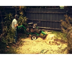 Tree and Stump Removal Melbourne | Dynamic Arborist