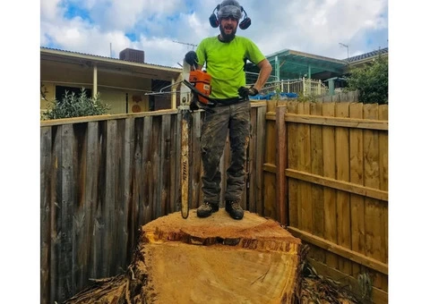 Tree and Stump Removal Melbourne | Dynamic Arborist - 2/2