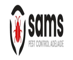 Borer Control Adelaide