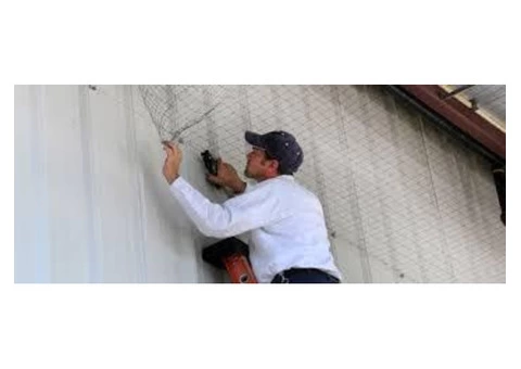 Bird Control Hobart - 3/6