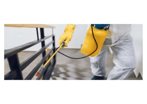 Pest Control Kangaroo Point