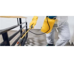 Pest Control Kangaroo Point