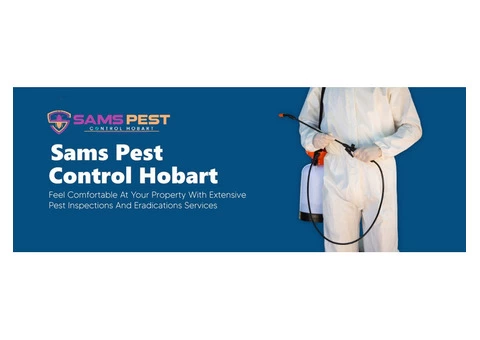 Silverfish Control Hobart - 3/6