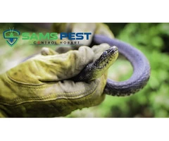 Snake Control Hobart