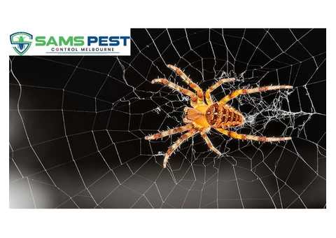 Spider Control Melbourne - 3/4