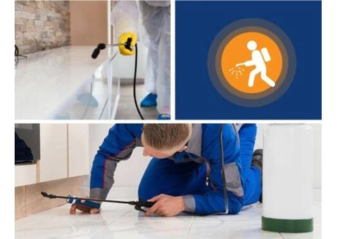 Mice Control Sydney - 4/7