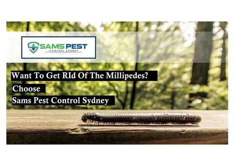 Millipedes Control Sydney - 1/6