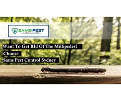 Millipedes Control Sydney