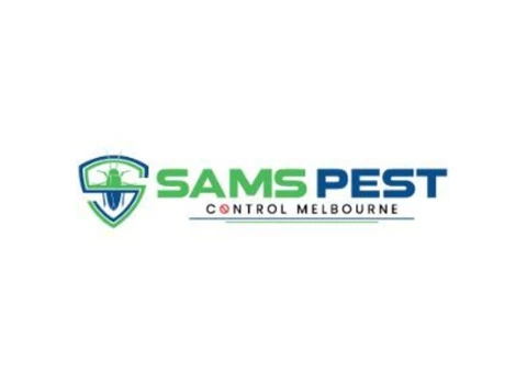 Termite Control Melbourne - 1/4