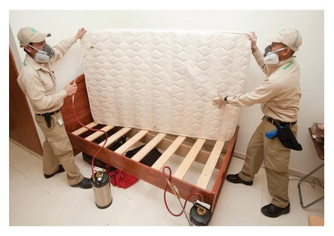 Bed Bug Control Sydney - 3/6