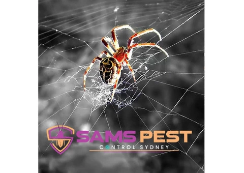 Spider Control Sydney - 1/7